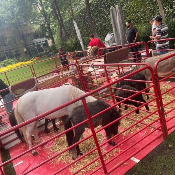 2500dc96-a991-4ecf-9801-7b15f6db2d88