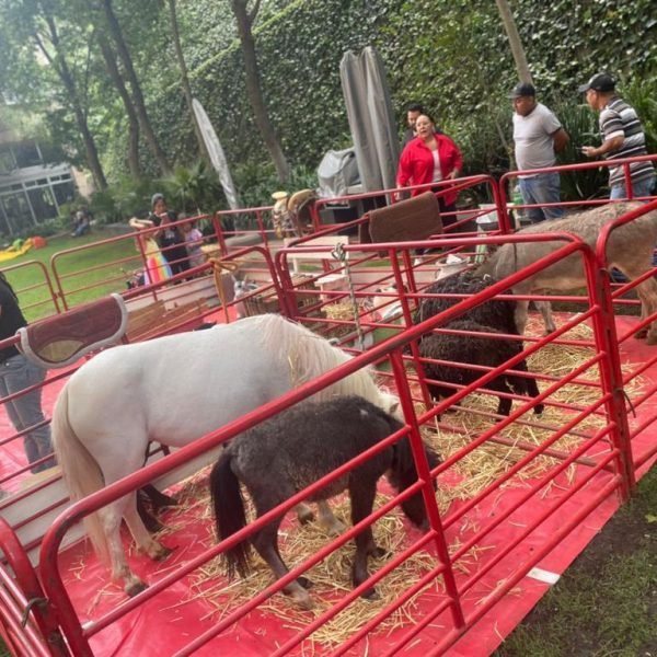 9088d49c-5840-4af9-9eed-b259dcac3eb8