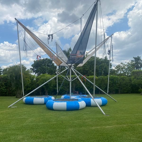 ed20de65-f3d4-4eee-a5de-d6d052a89952