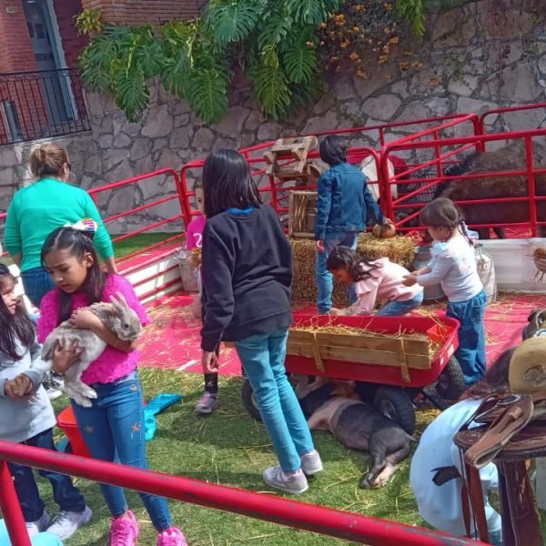 f13bef01-897f-4241-b2ed-fa731eb91963